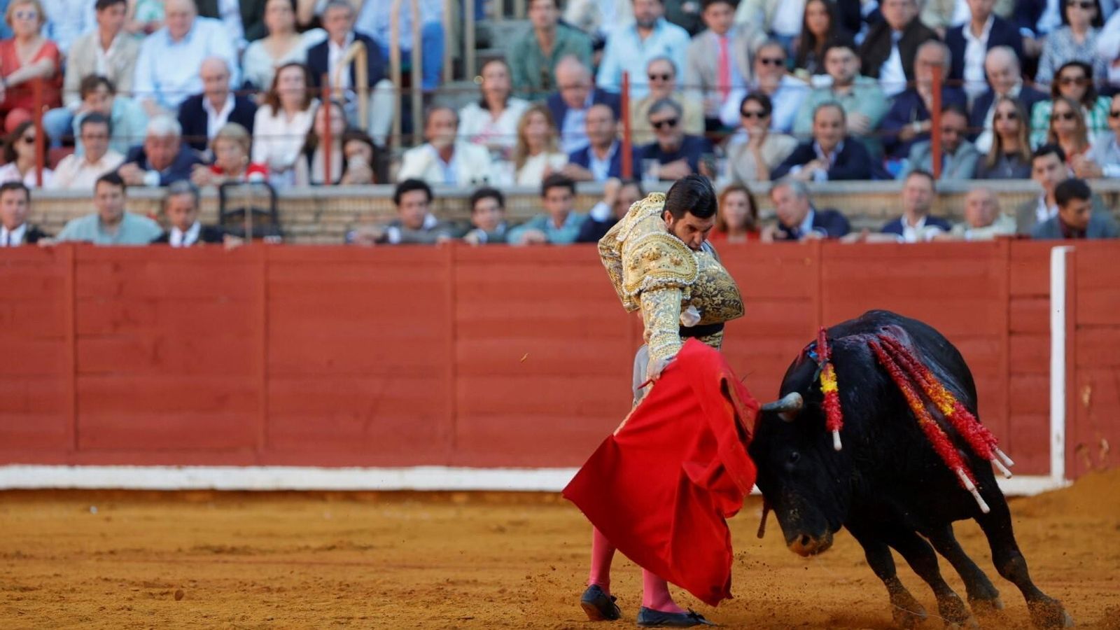 Morante de la Puebla con la muleta. Morante de la Puebla con la muleta.