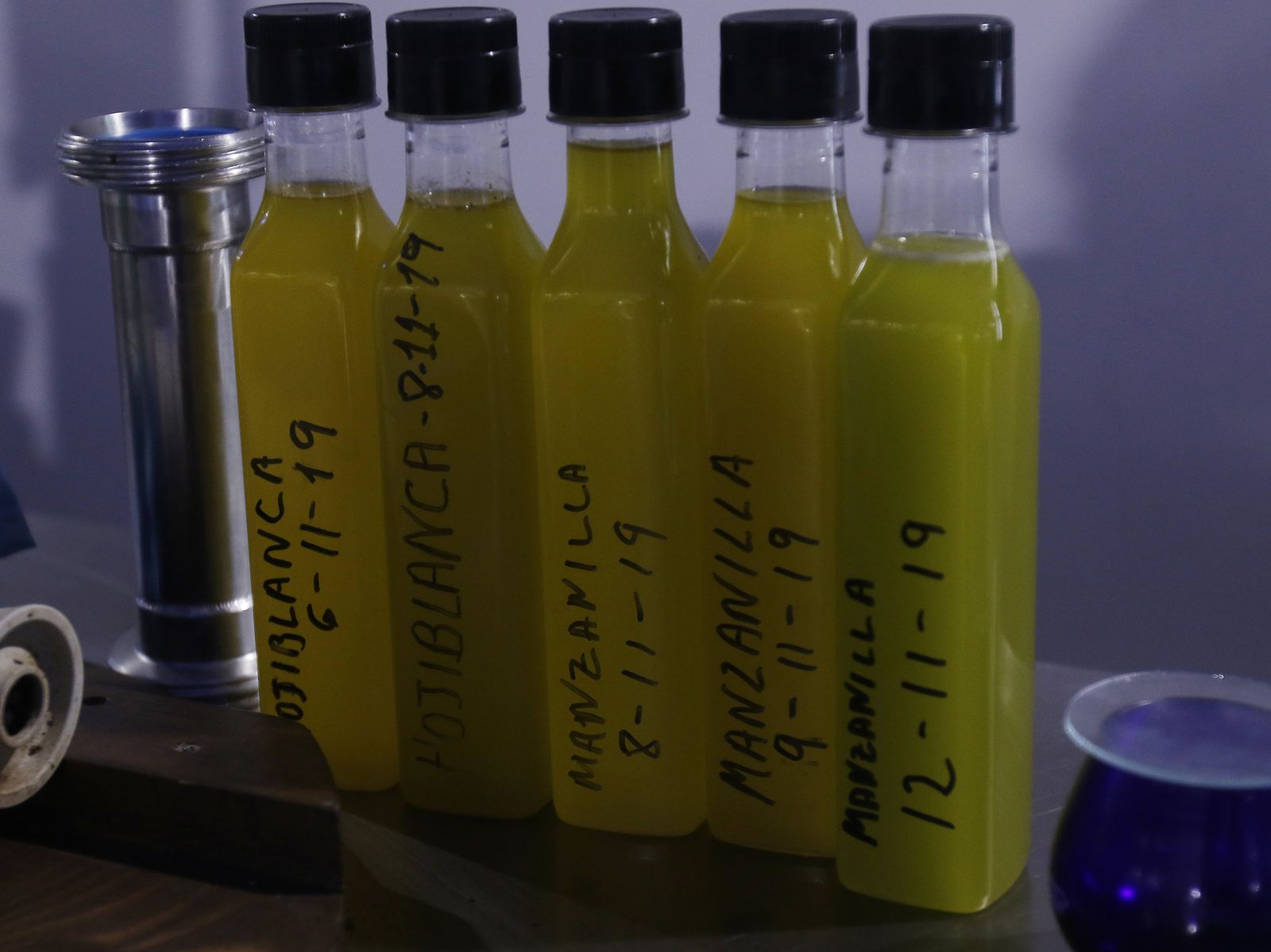 Reportaje sobre el aceite de oliva