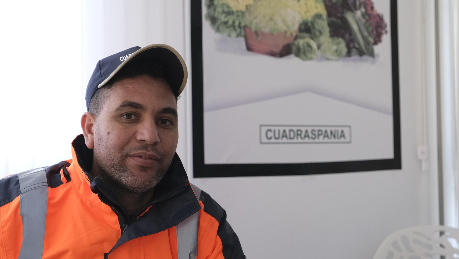 Desde Cuevas del Almanzora para el resto del mundo, las mejores escarolas con Cuadraspania, en imágenes