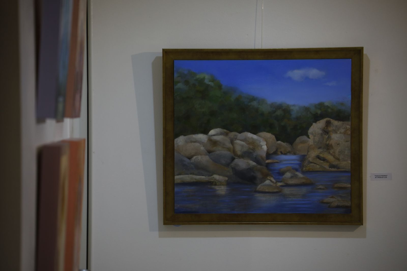 Un paseo fotográfico por la exposición 'Dos en una' del Colegio de Abogados de Córdoba