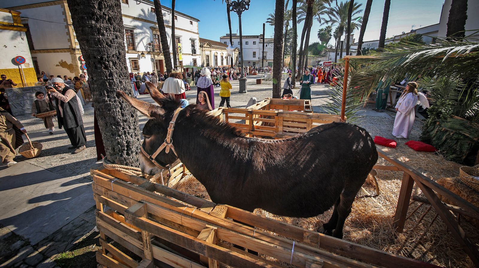 Belén viviente en la Plaza del Mercado de Jerez