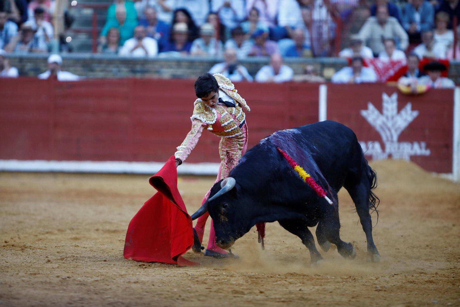 La presentación del novillero Manuel Román en Córdoba, en imágenes