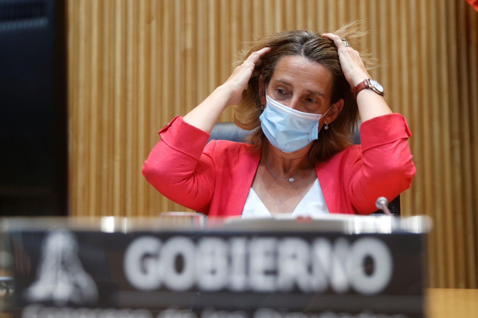 Teresa Ribera, ministra para la Transición Ecológica, ayer durante su comparecencia ante la Diputación Permanente del Congreso.