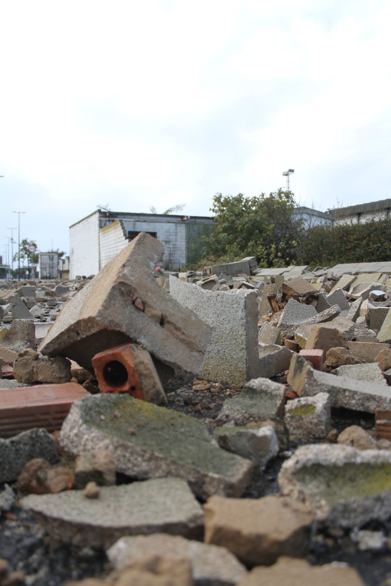 Consecuencias del temporal de lluvia y viento a su paso por la capital