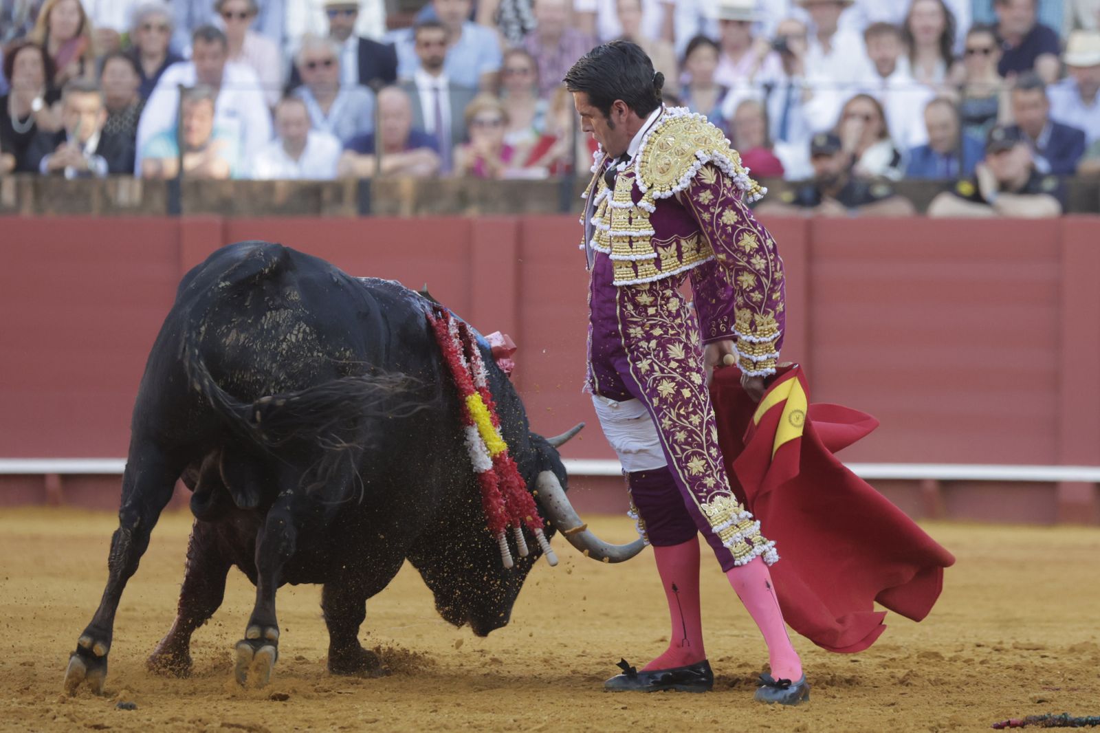 Las imágenes del festejo