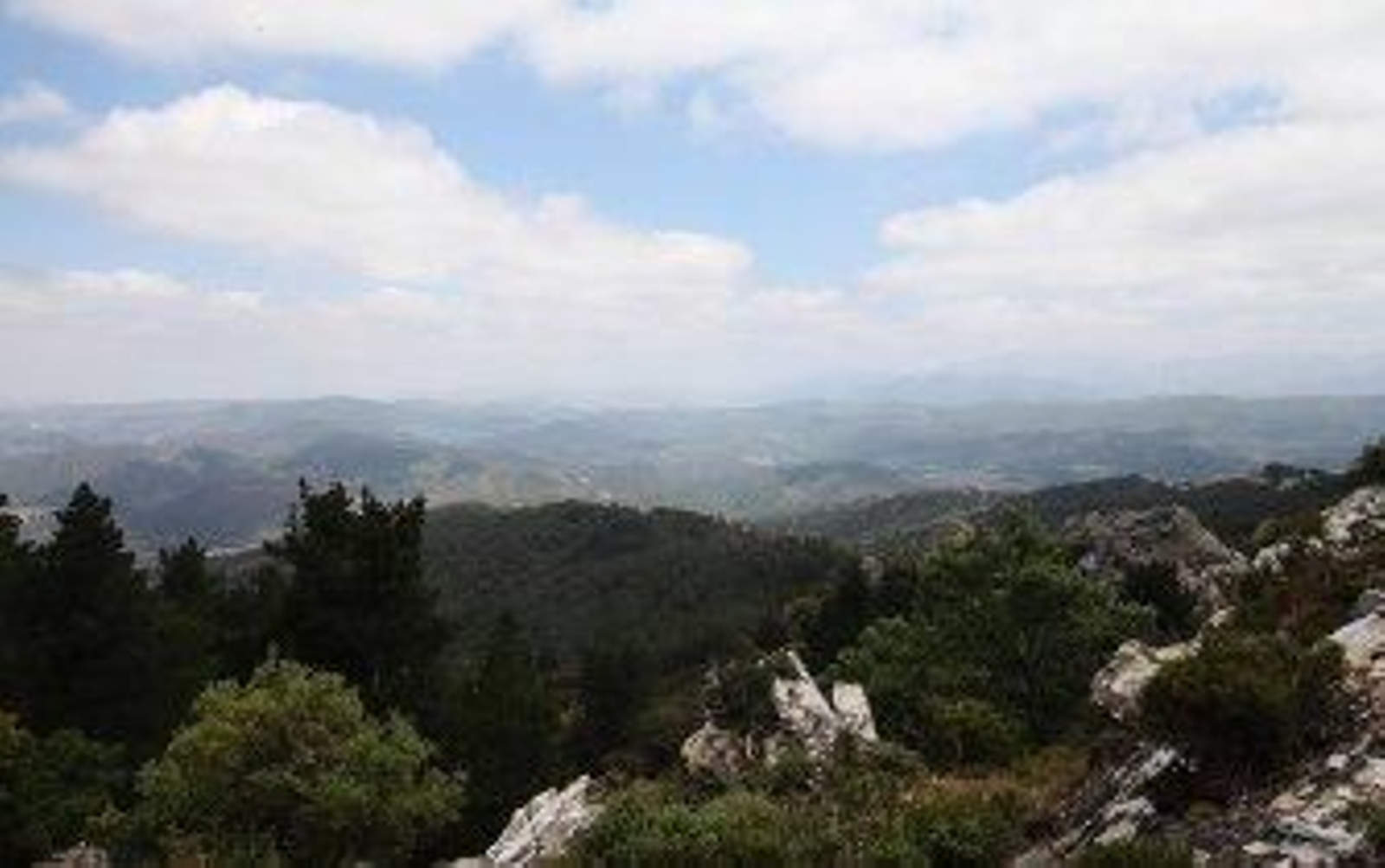 ¿Quién mató a Juan Sánchez?