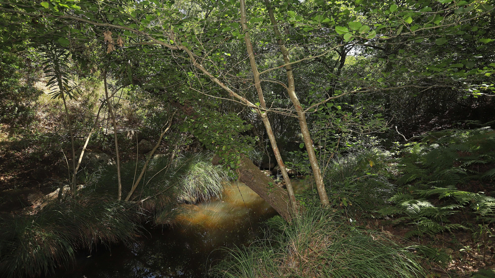 Las mejores fotos de la Montera del Torero y Valdeinfierno