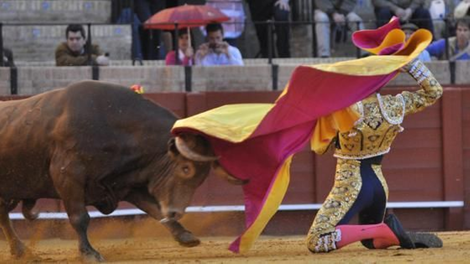 Salvador Cortés lidia con el sexto toro a portagayola.

Foto: Manuel Gómez