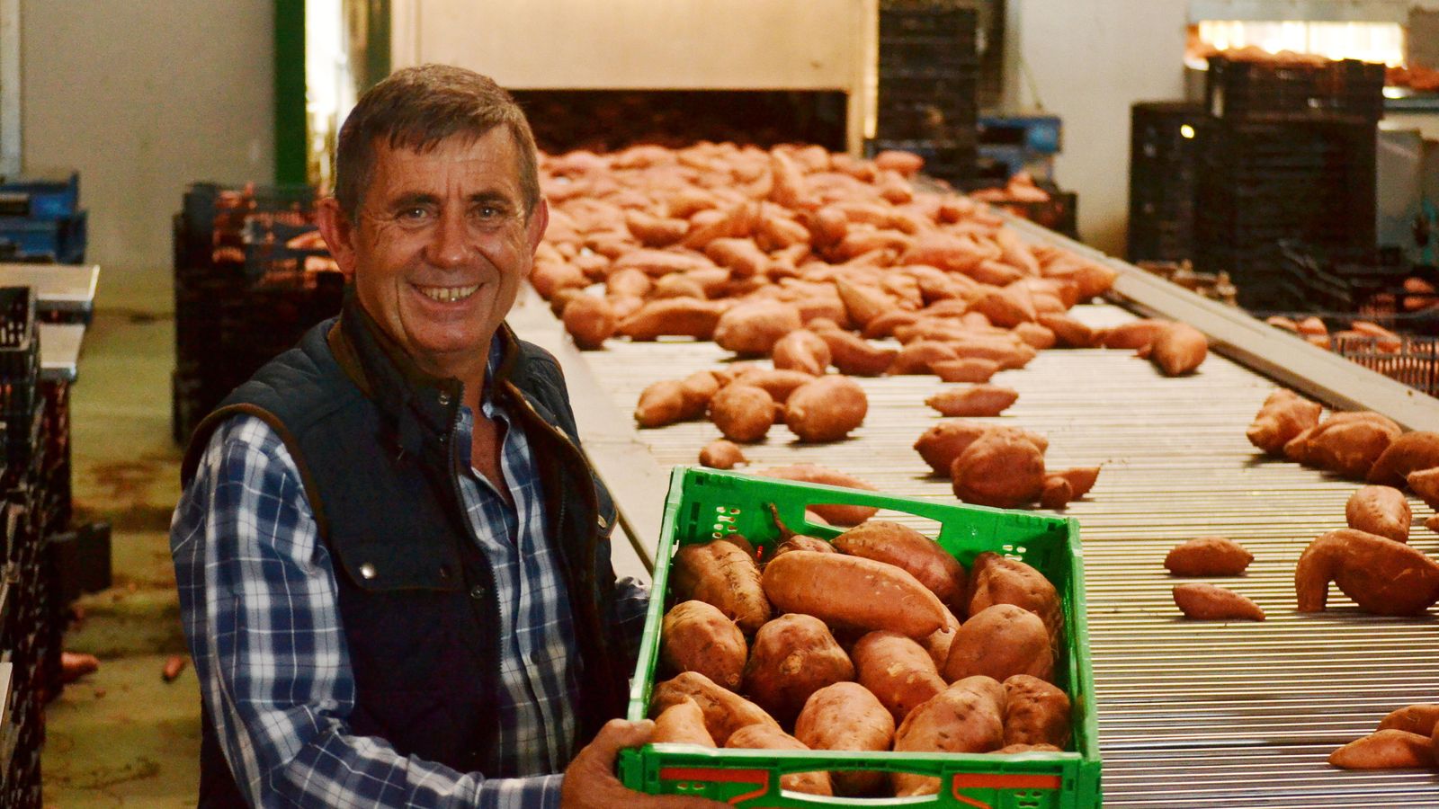Juan Antonio Sánchez, gerente de Frusana.