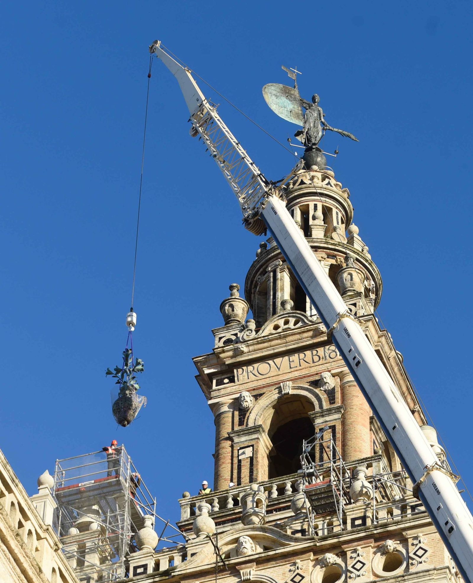 La retirada de las jarras de las azucenas de la Giralda, en imágenes