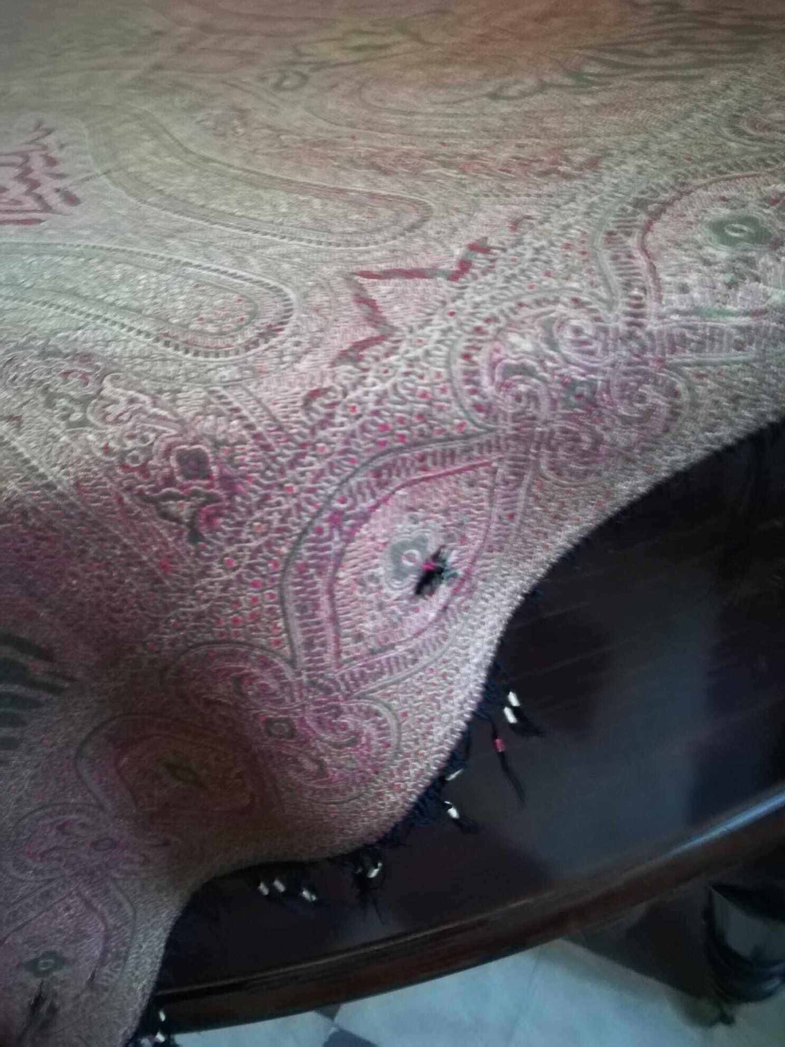 Galería de fotos del deterioro del legado de Lorca en la Huerta de San Vicente