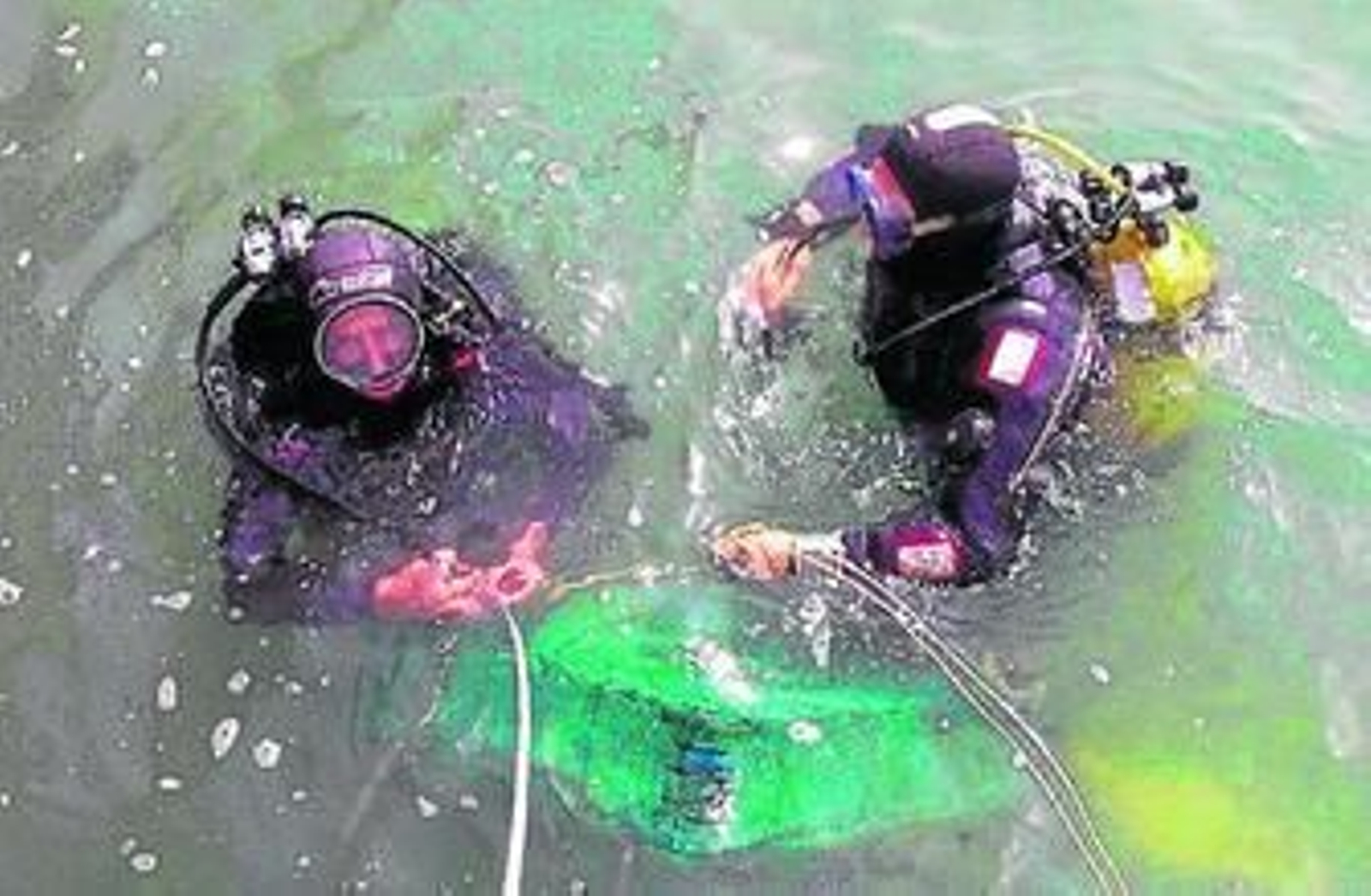 El doctorado es en el área de Ciencias Marinas y Medioambientales.
