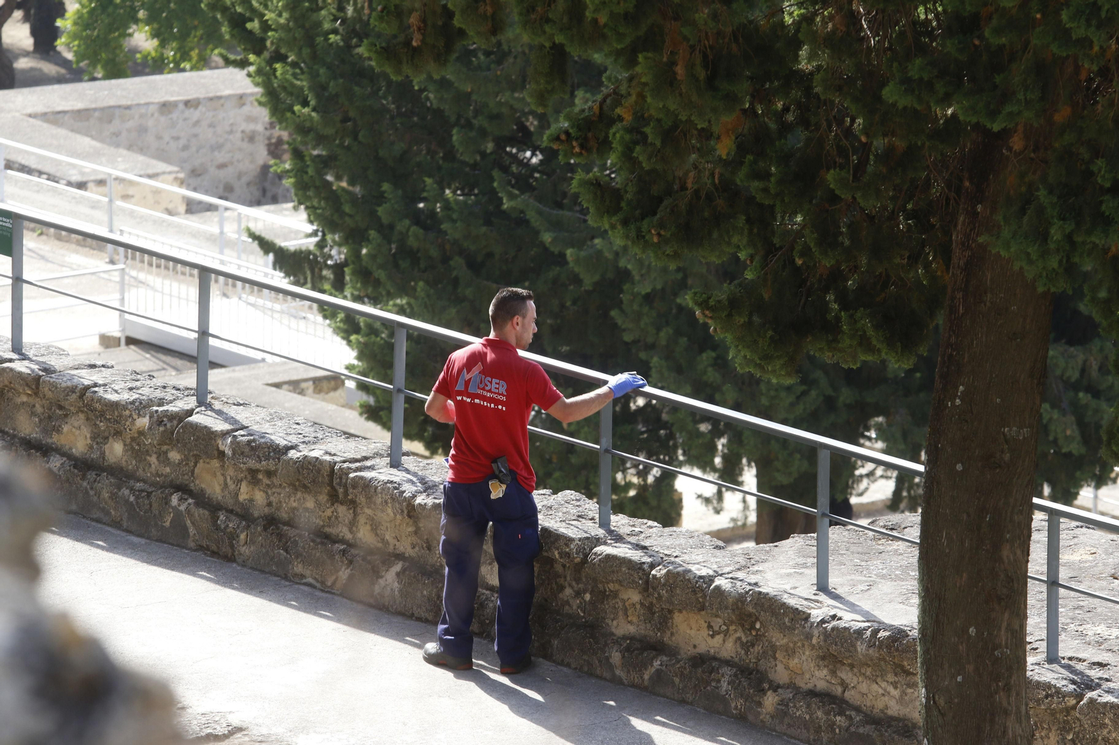 La reapertura de Medina Azahara, en fotos
