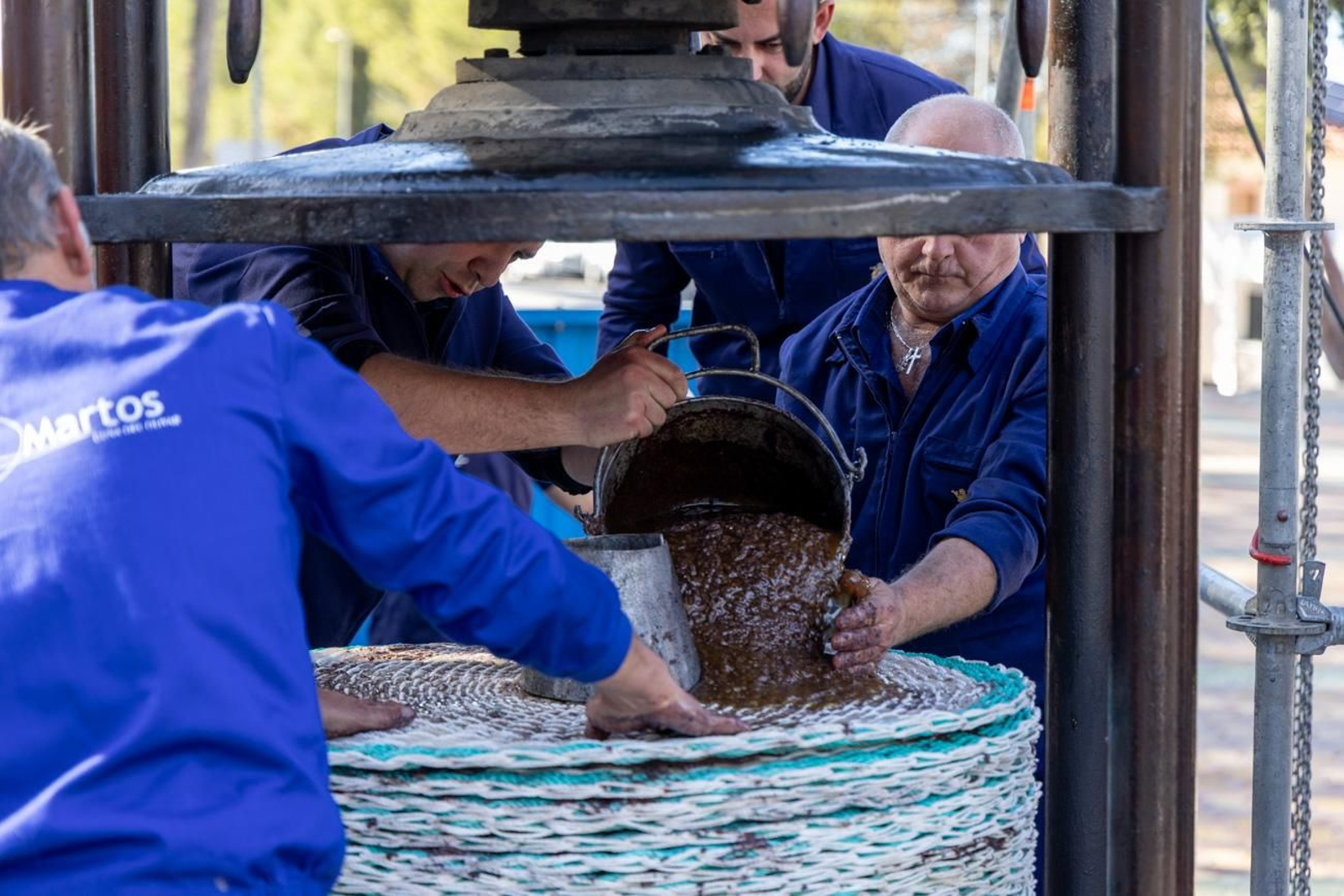 XLV Fiesta de la Aceituna en Martos