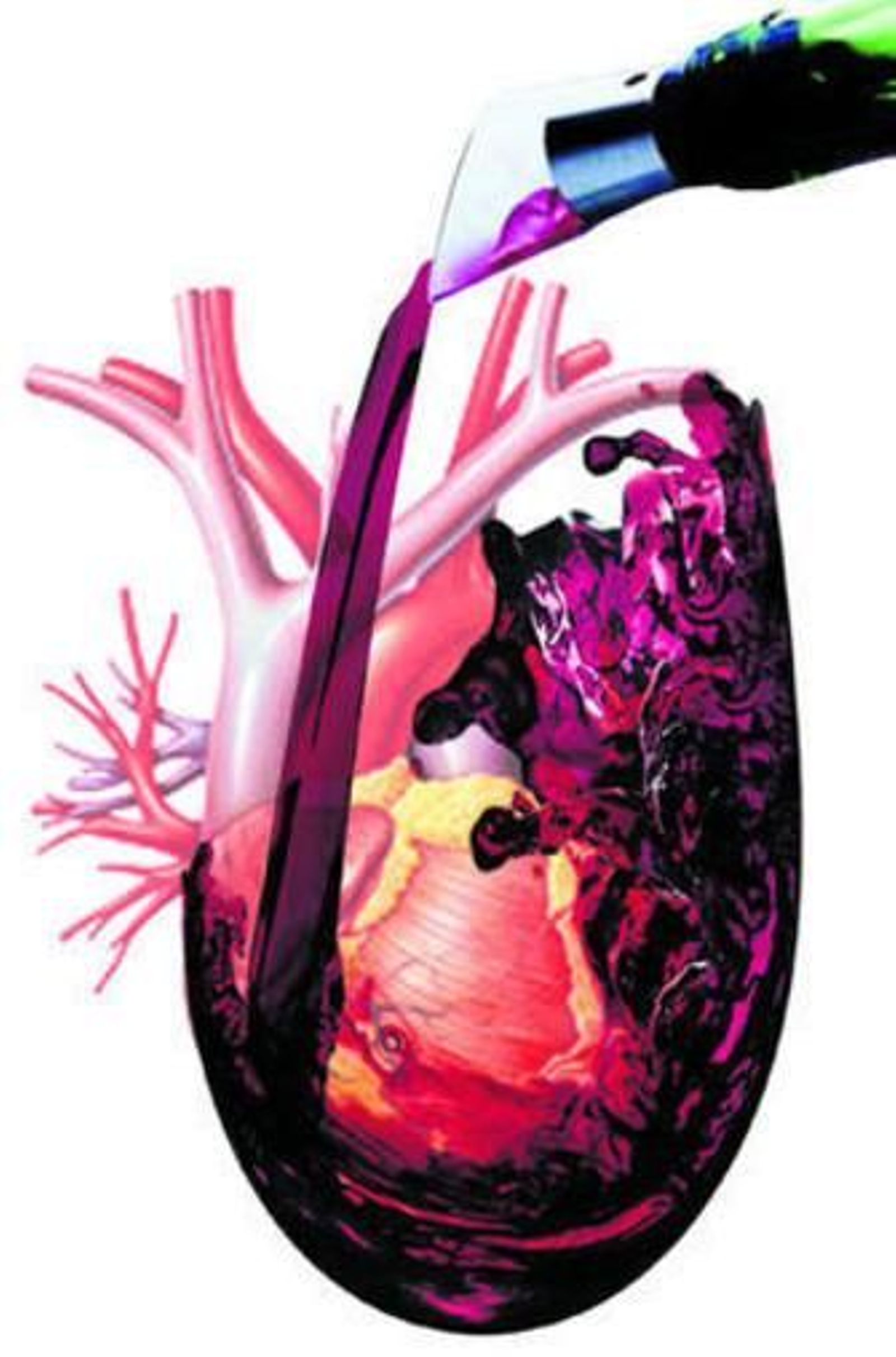 Resveratrol: ¿la pócima de la eterna juventud?