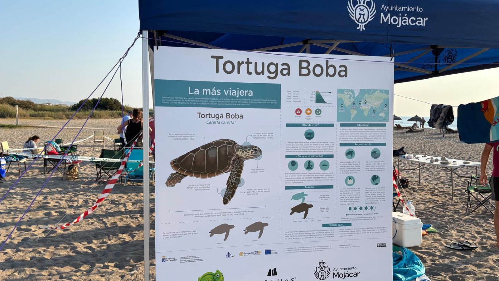 Campamento en la playa mojaquera para el cuidado de la tortuga boba.