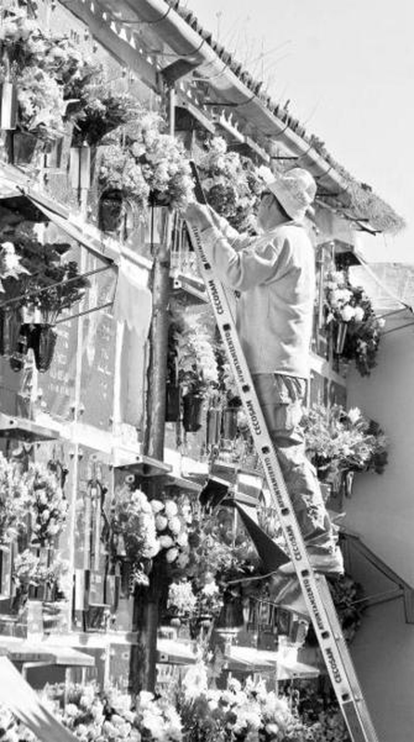 Un hombre coloca flores en un nicho de San Rafael.