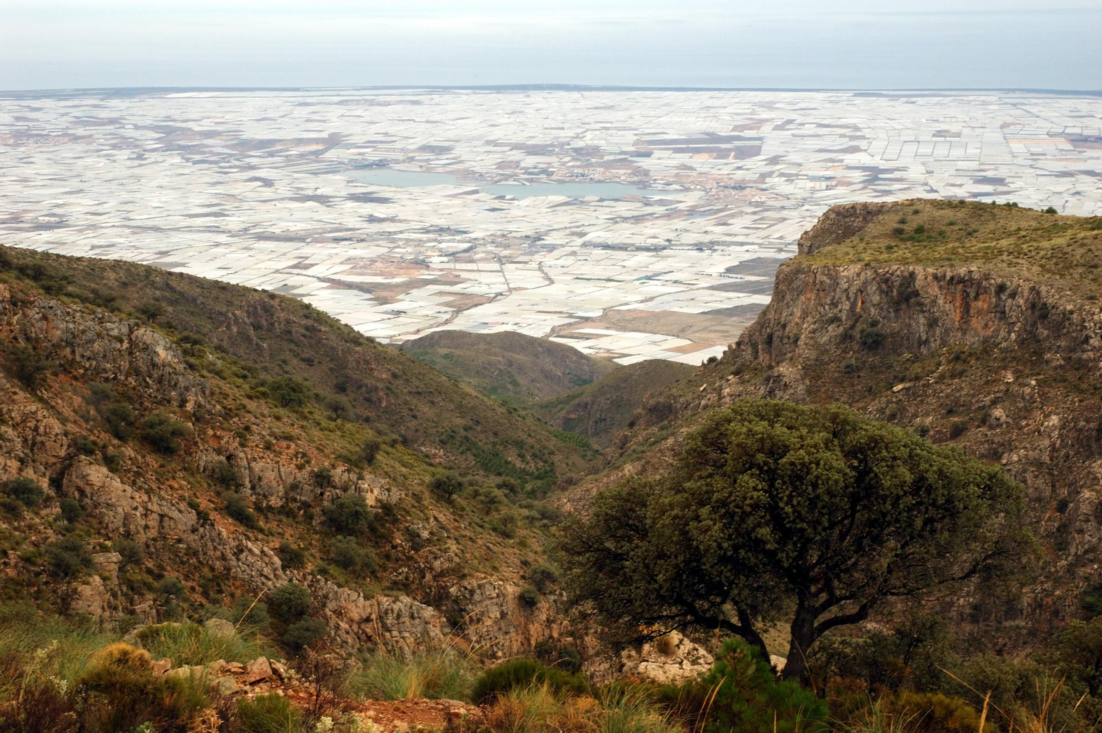 Panorámica invernaderos del Poniente Almeriense desde Sierra de Gador.