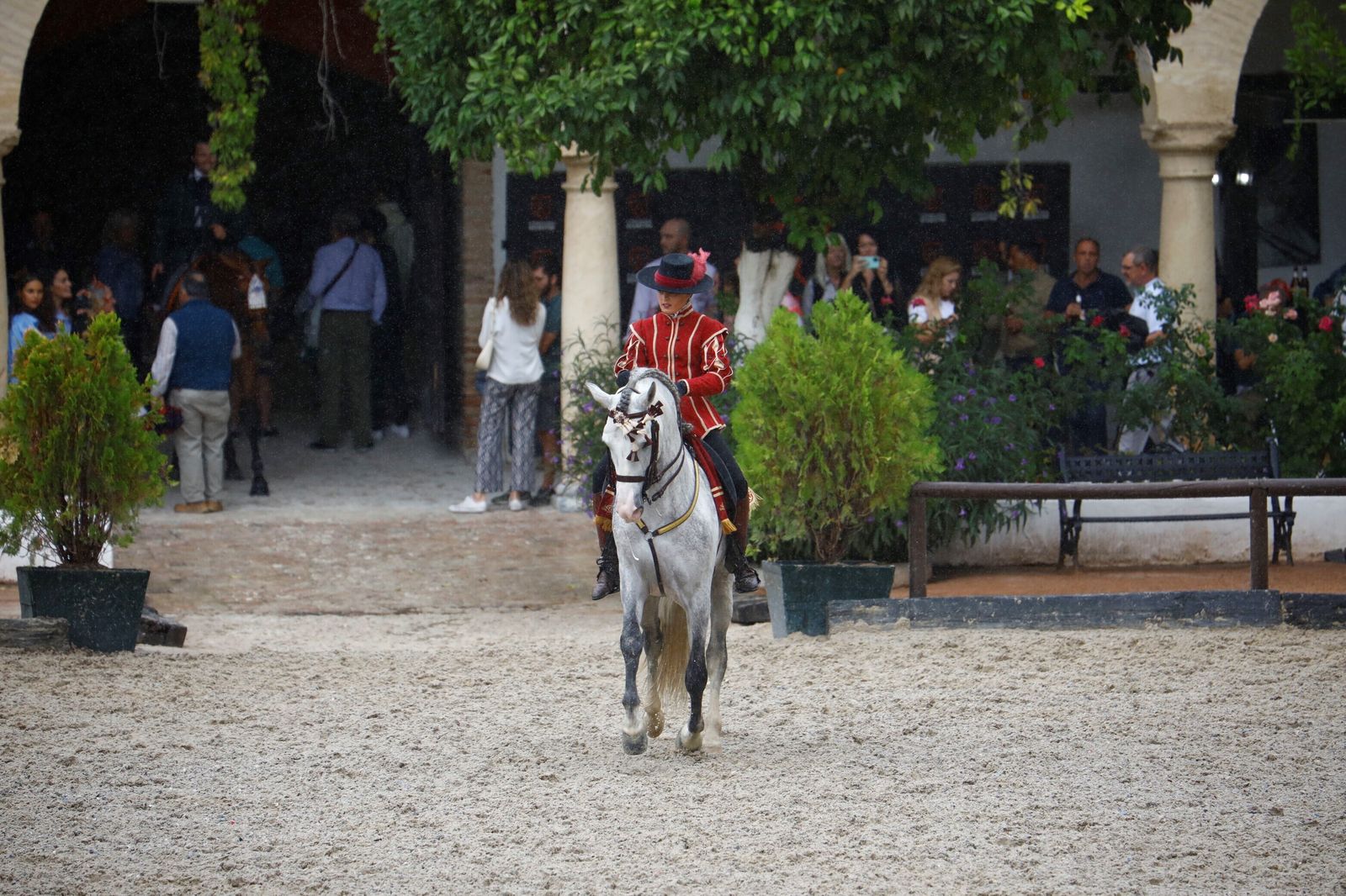 La celebración de la VI Copa de España de Alta Escuela en Córdoba, en imágenes
