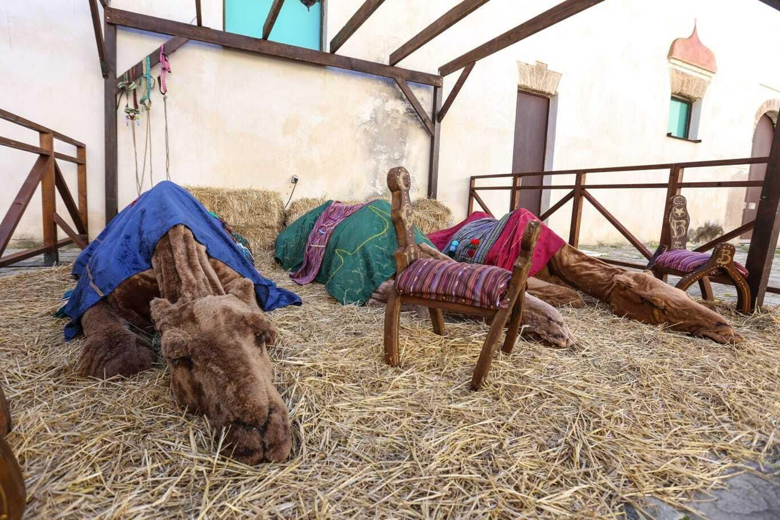 Primeras visitas a los Reyes Magos en San Fernando.