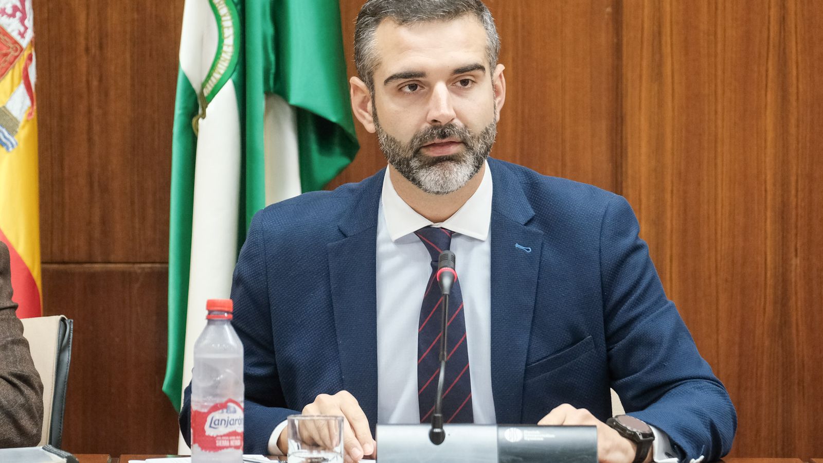 Ramón Fernández-Pacheco durante la comisión celebrada esta mañana