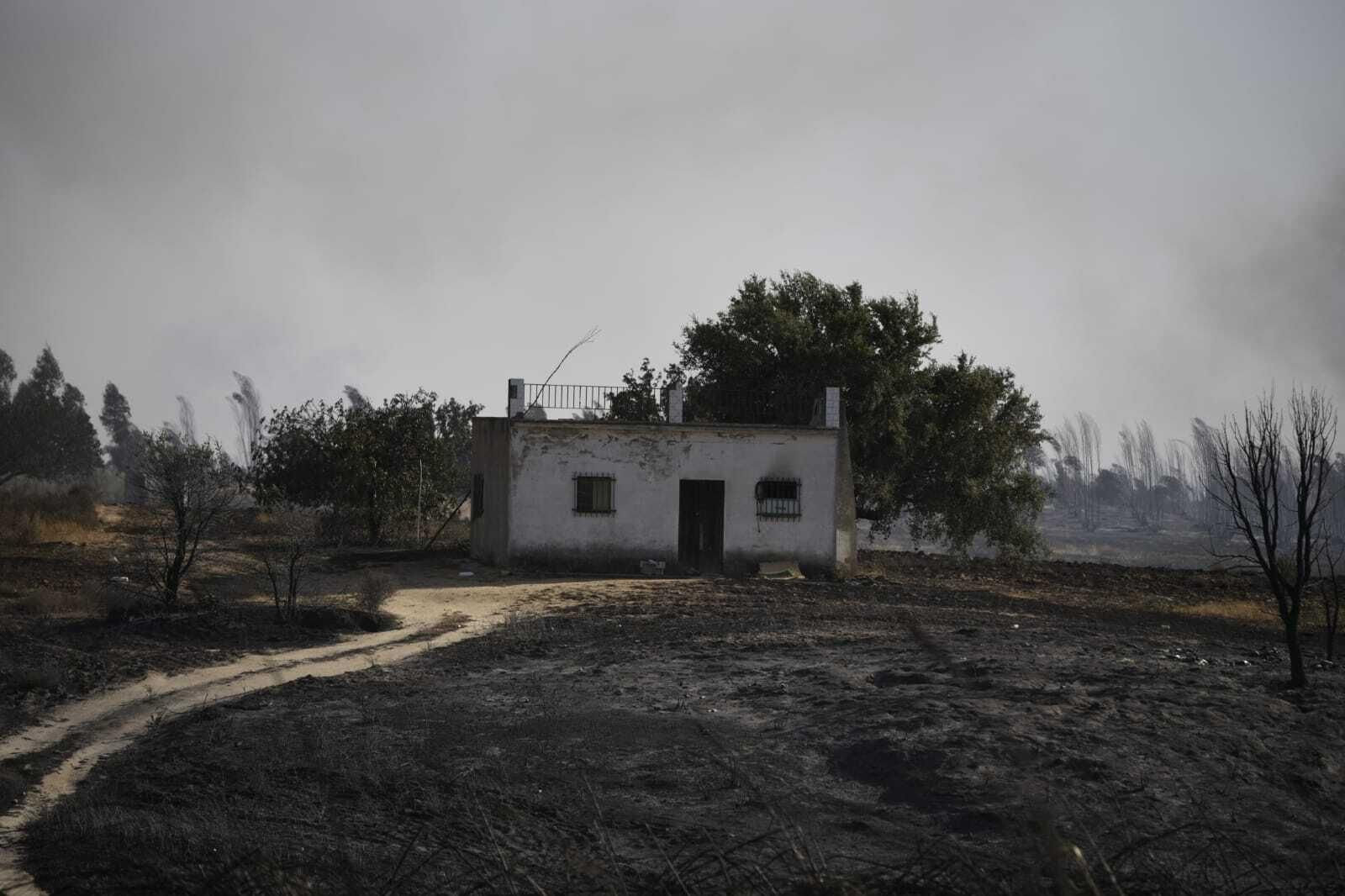 Imágenes del incendio forestal de Bonares