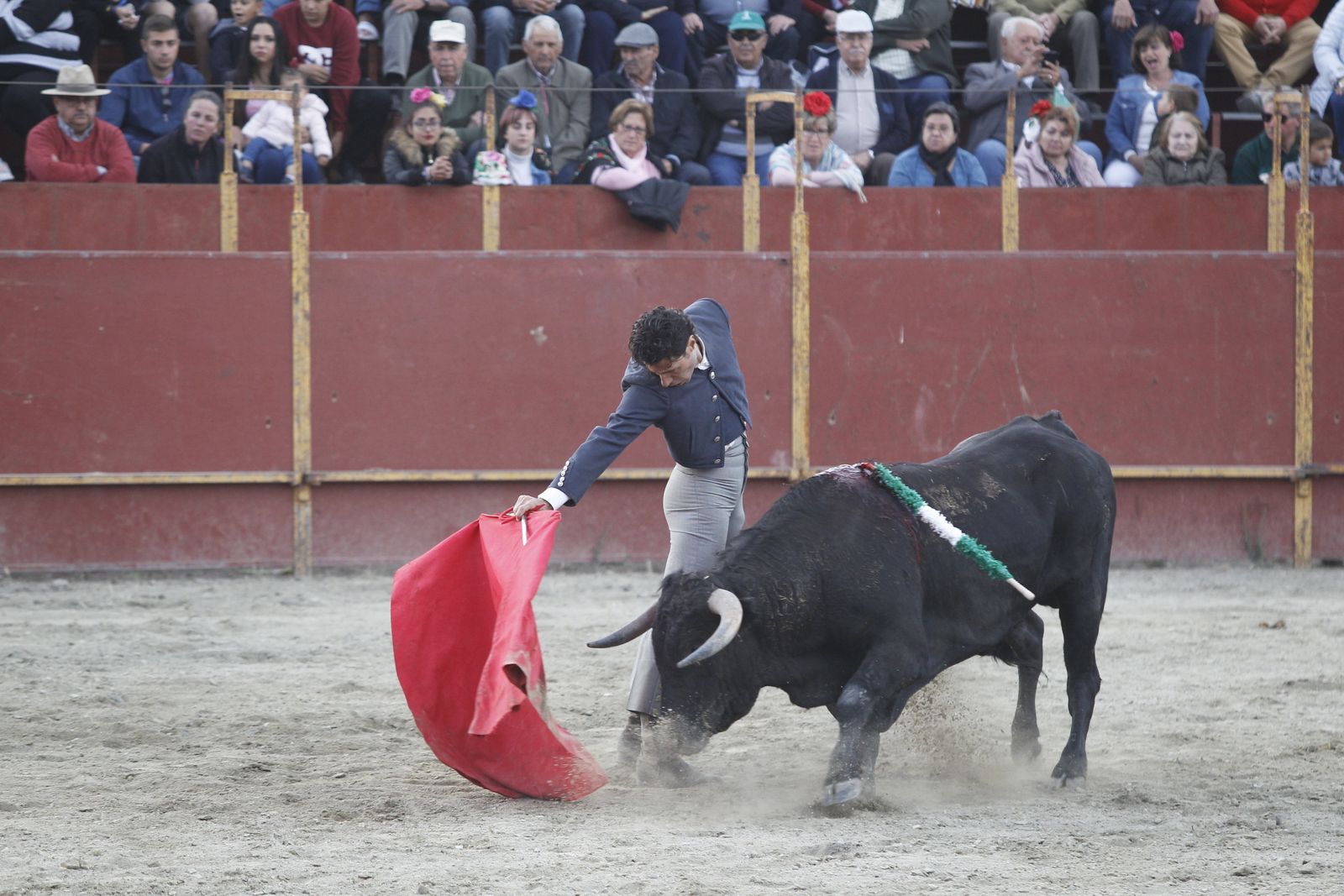 Fotogalería Festival Taurino Mixto. Fiestas de Abrucena.