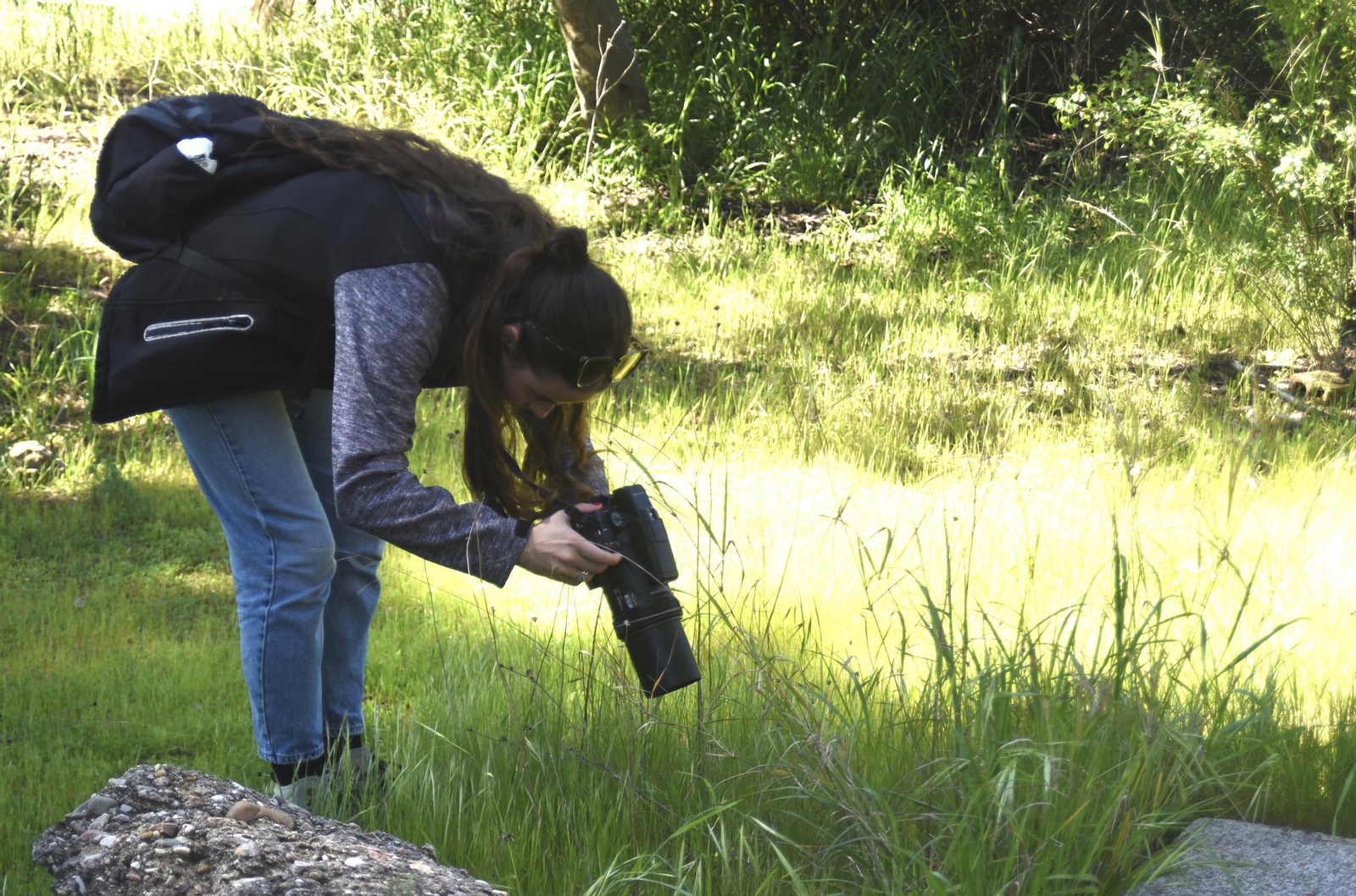 Las mejores imágenes del 'Maratón de identificación de especies' de la Universidad de Córdoba