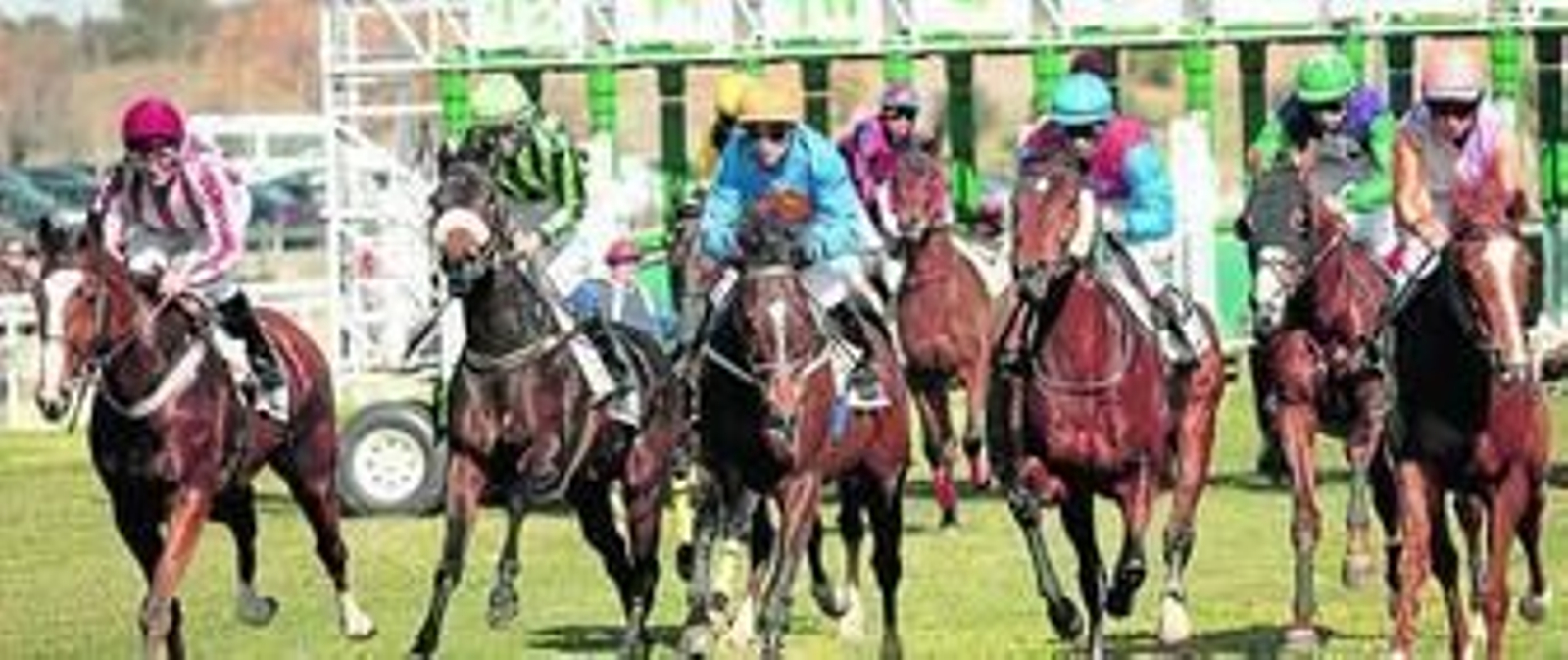Imagen de la salida de cajones de los participantes de la tercera carrera del día, el Premio Peña Hípica El Búcaro.