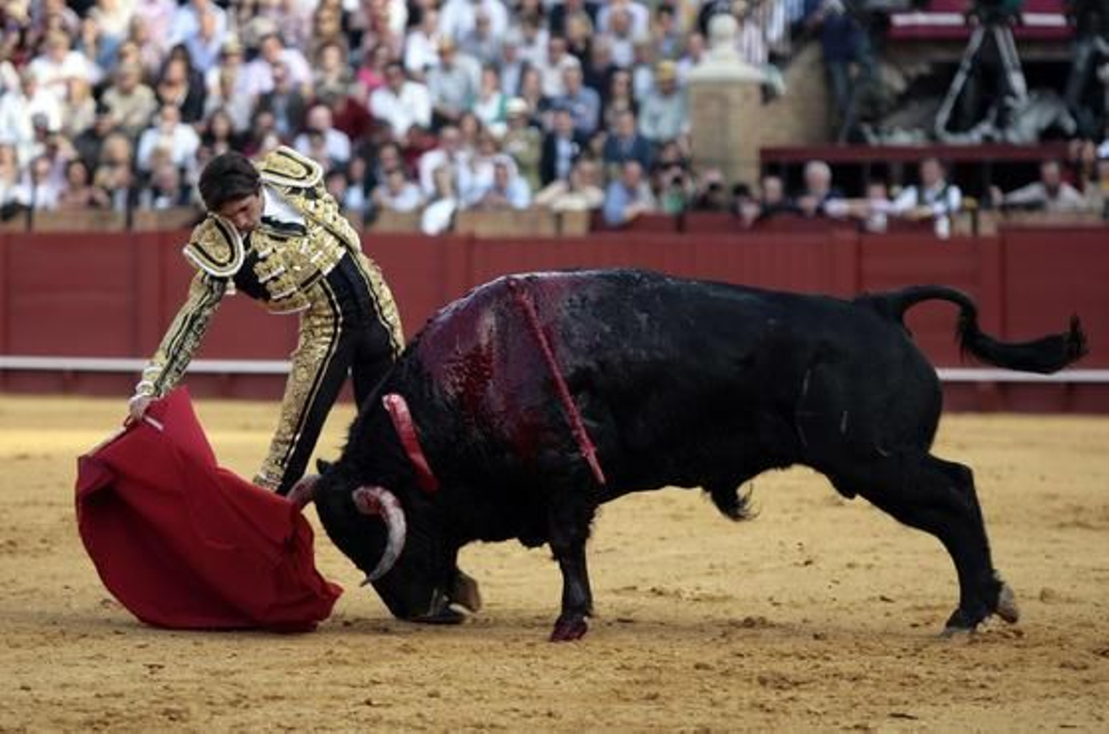 Castella./ Juan Carlos Muñoz