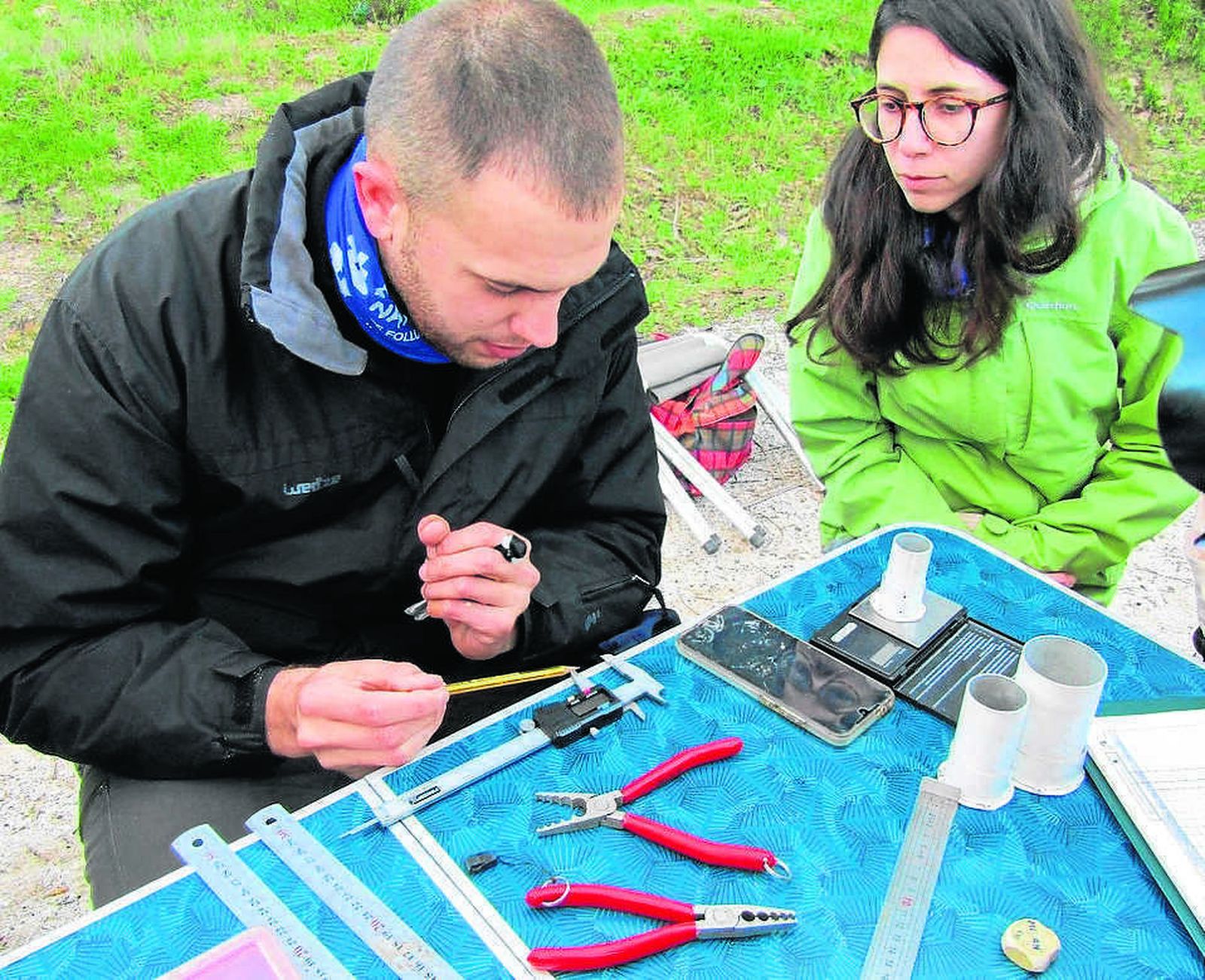 Anillar aves para amar el medio natural