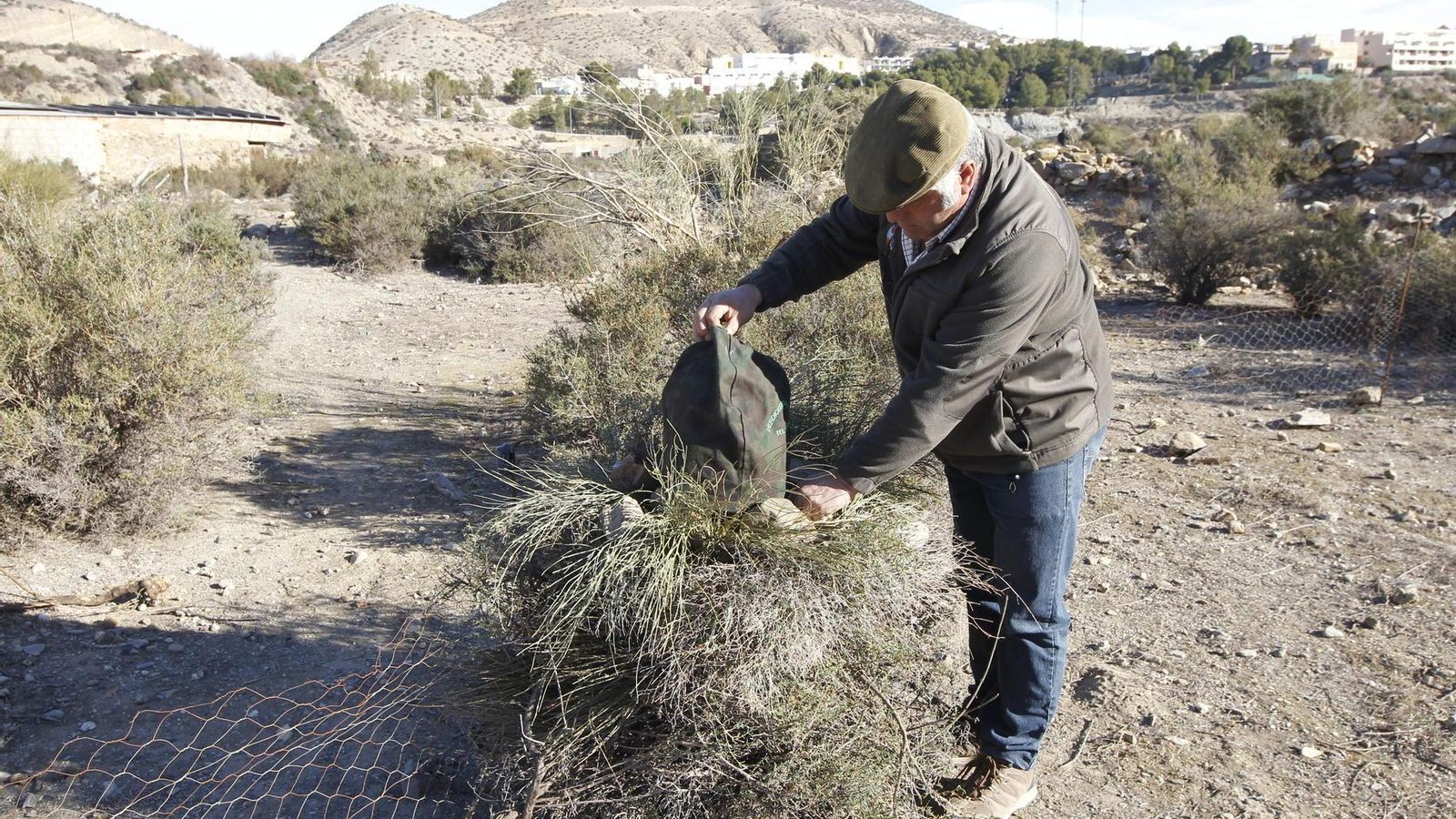 Un cazador prepara su perdiz en el pulpitillo en una jornada de reclamo.