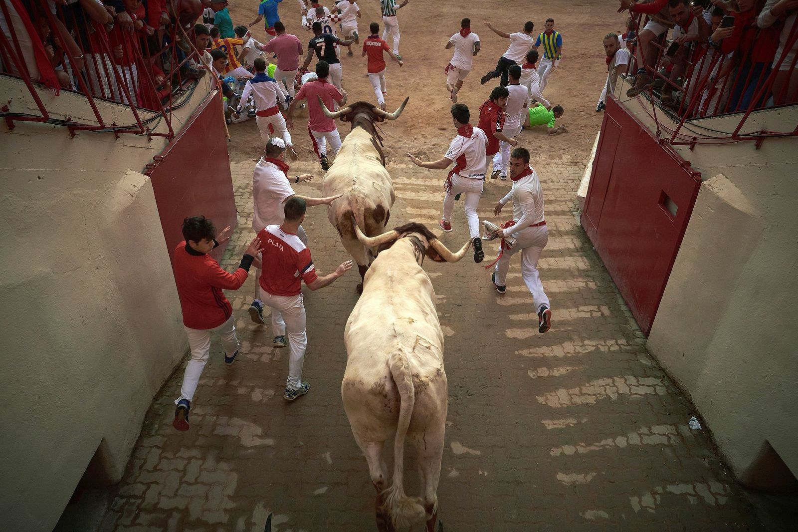 El quinto encierro de los Sanfermines, en imágenes
