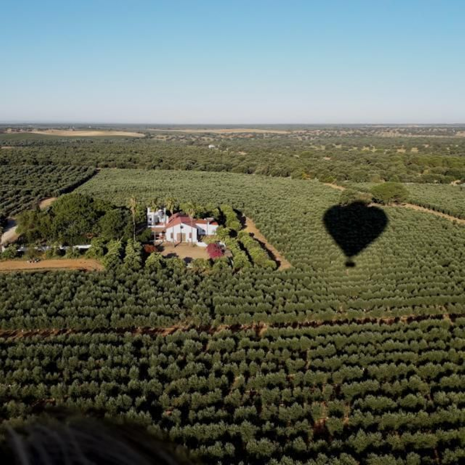 Vistas desde el globo