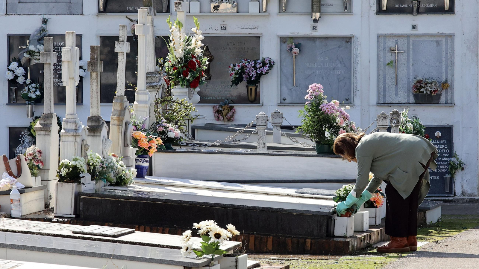 Imágenes del cementerio de Jerez en el Día de los Fieles Difuntos