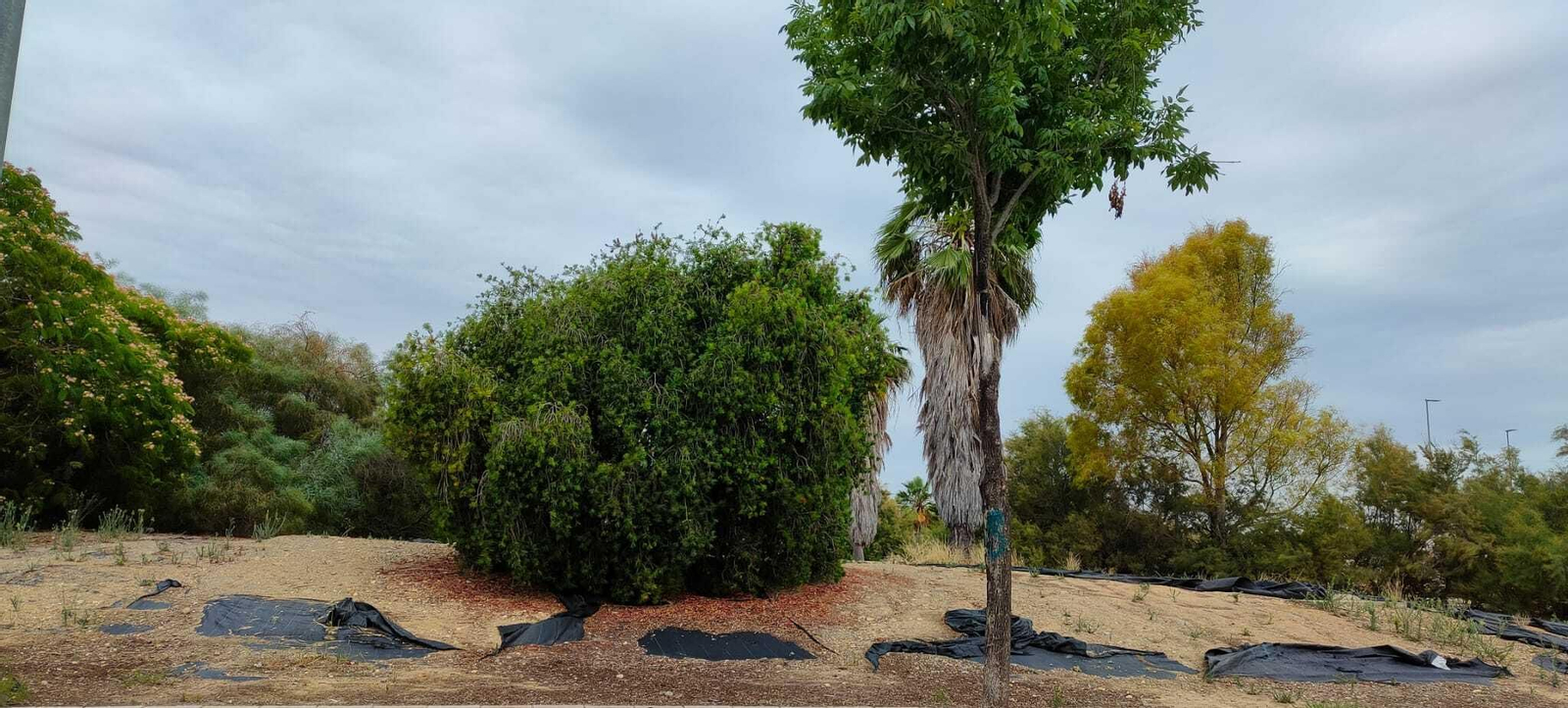 Quejas vecinales por el mal estado de los parques de Pozoalbero en Jerez.