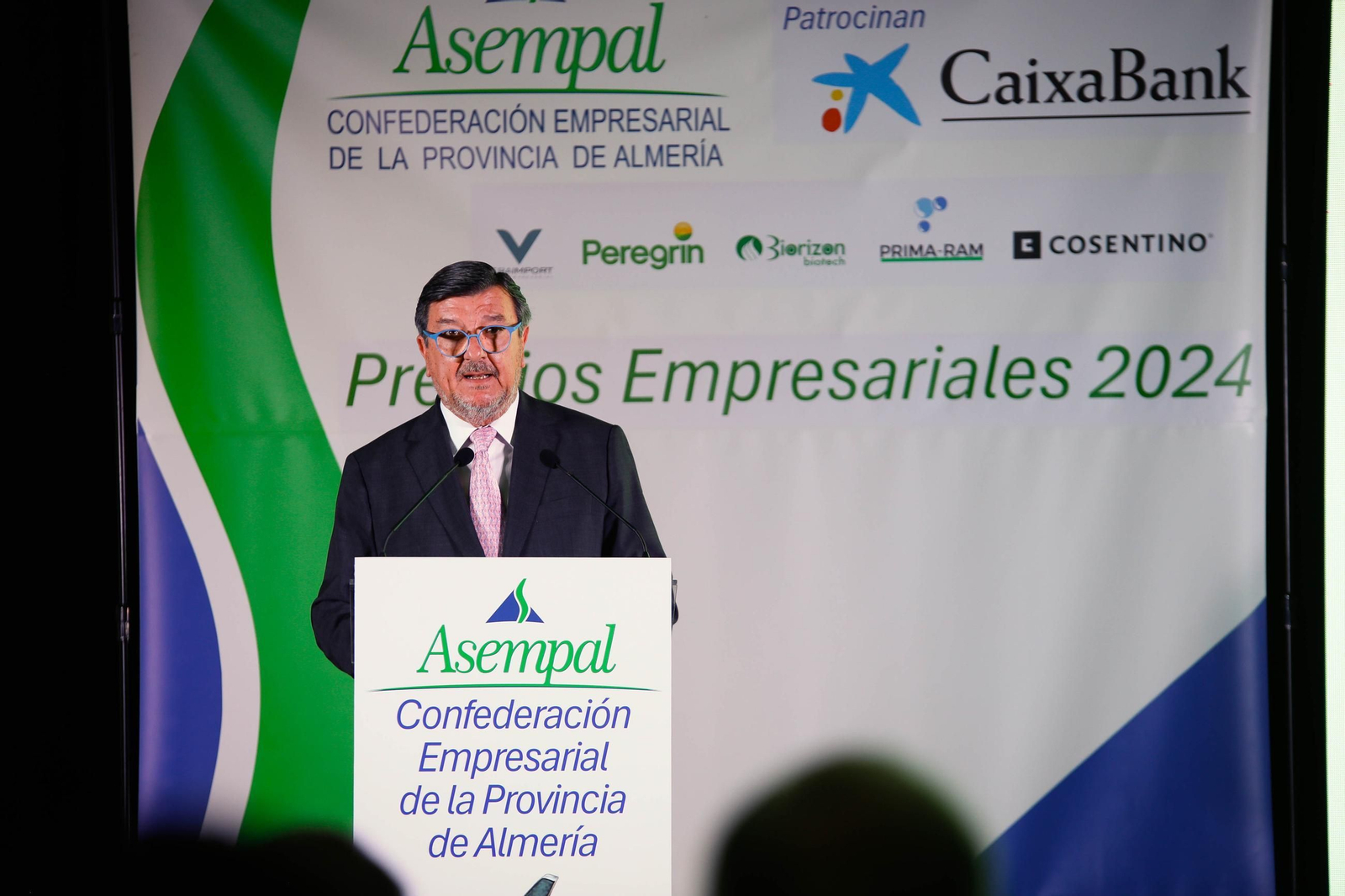 Los premios ASEMPAL 2024 de Almería, en imágenes