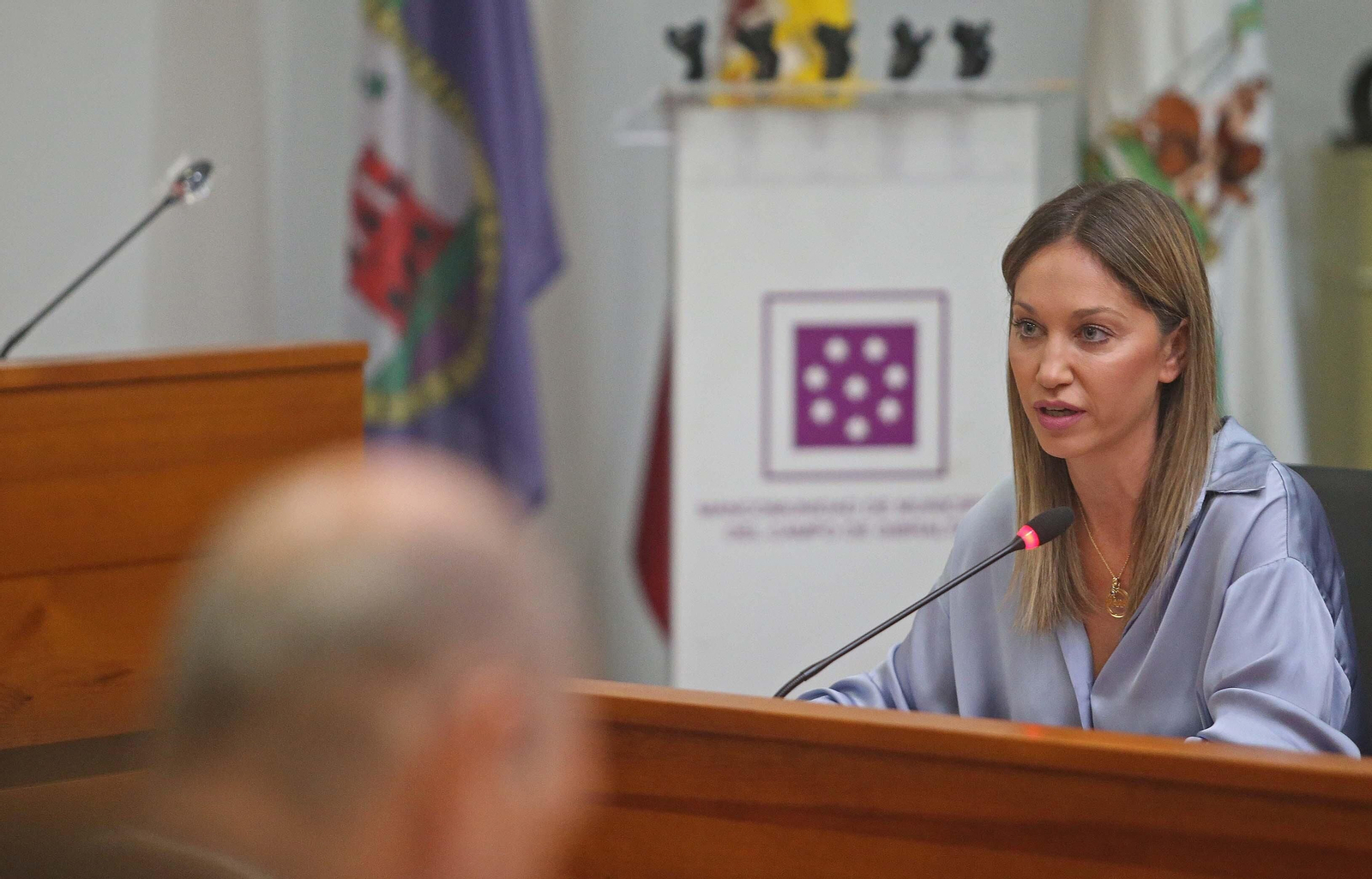 El primer pleno de organización de la Mancomunidad de Municipios del Campo de Gibraltar, en imágenes