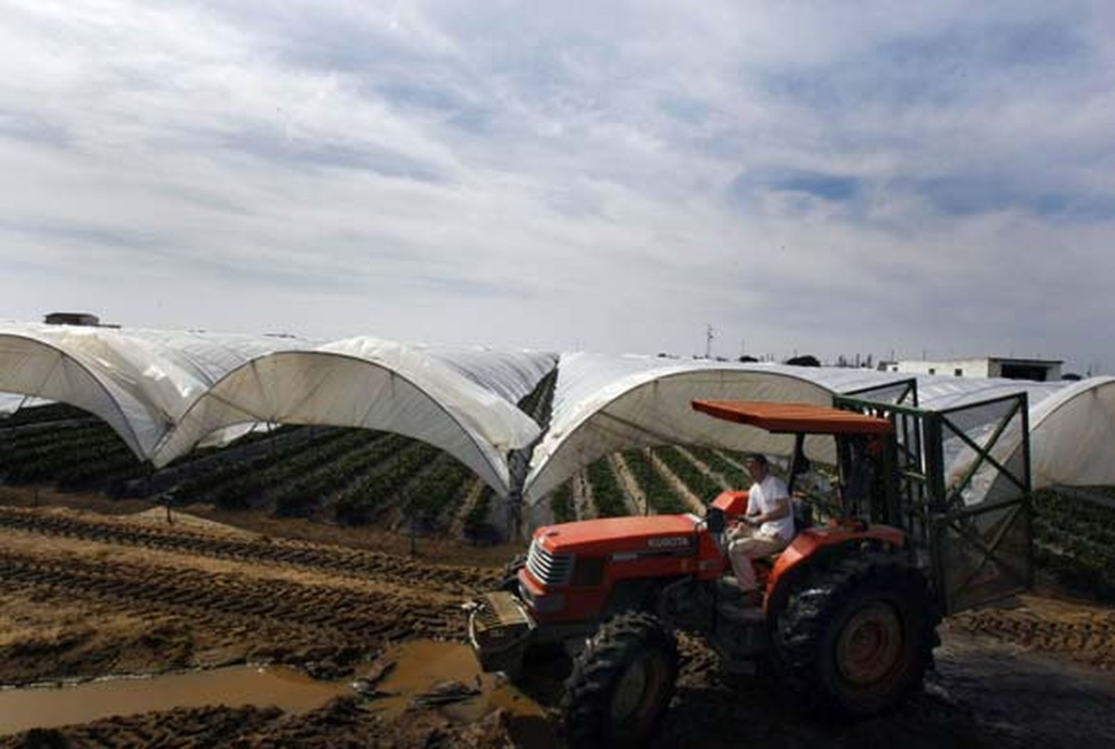 Entre Mazagón y Palos se extiende un mar blanco que oculta los campos de fresa, que oculta el lugar de ninguna parte de los africanos derrotados

Foto: Fito Carreto