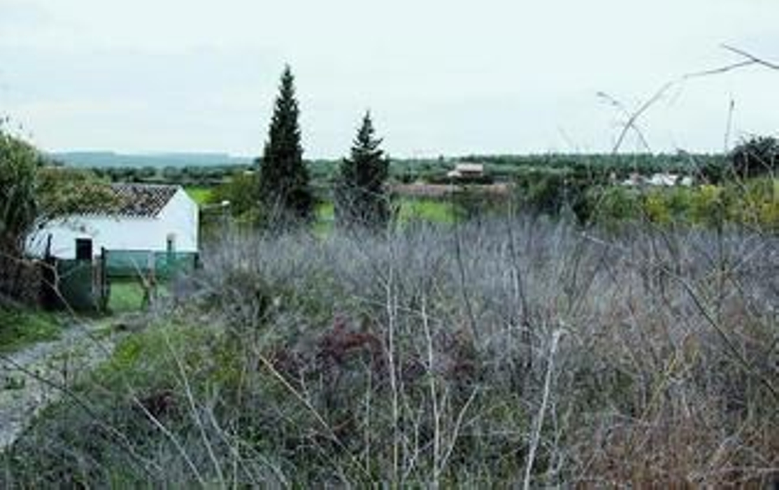 Las construcciones legales deben ser de pequeña densidad, como la de la imagen, de lo contrario tendrán problemas legales.