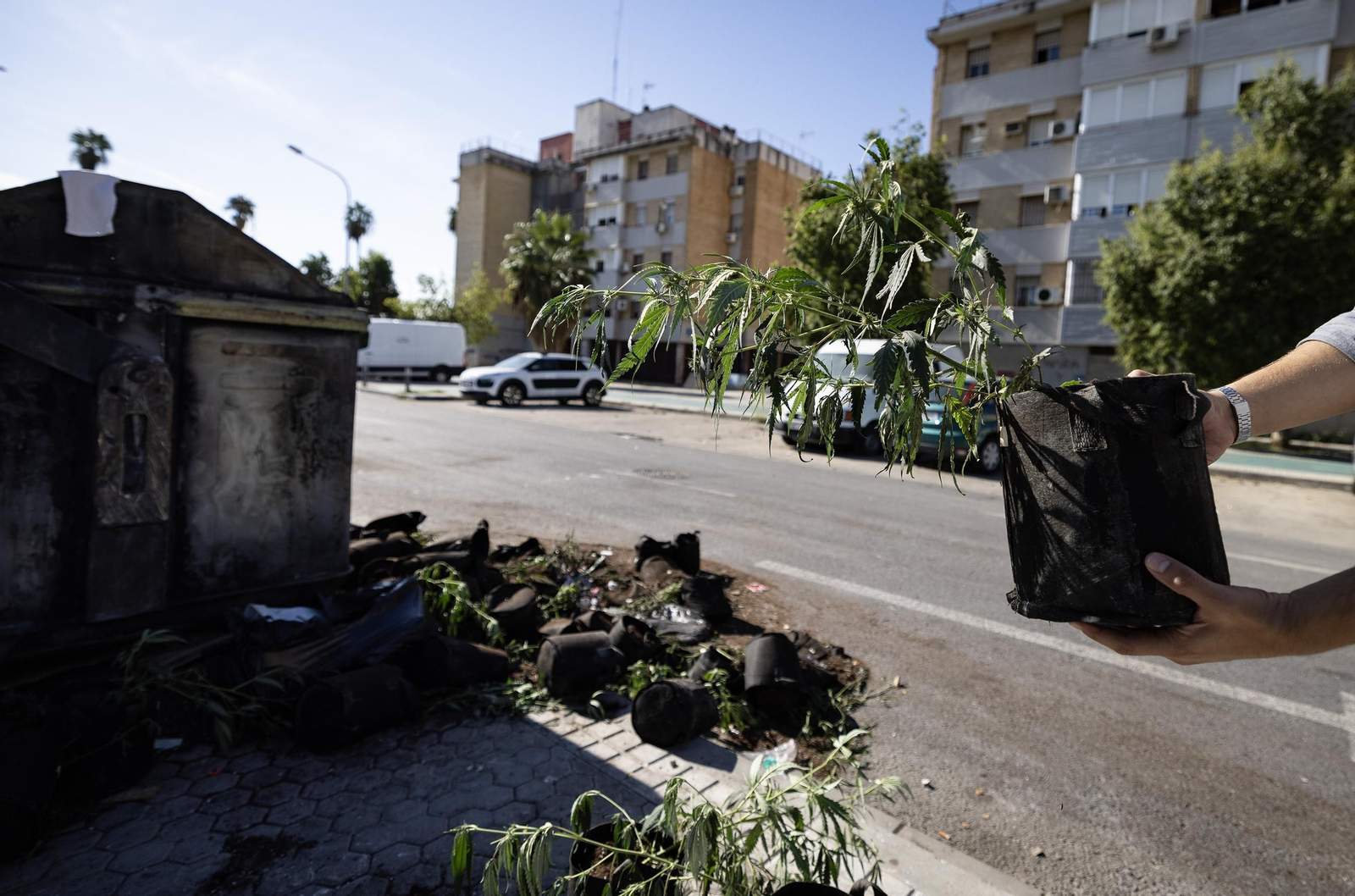 Así están las Tres Mil Viviendas tras los tiroteos, todas las fotos