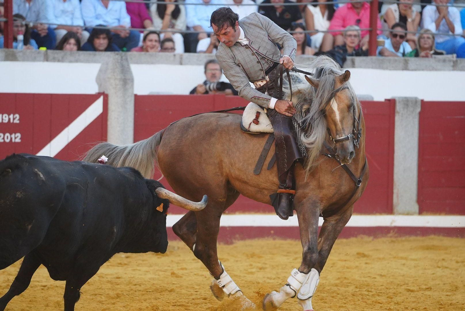 Las mejores fotos de la faena triunfal de Andy Cartagena, Leonardo y Lea Vicens en Pozoblanco Las mejores fotos de la faena triunfal de Andy Cartagena, Leonardo y Lea Vicens en Pozoblanco
