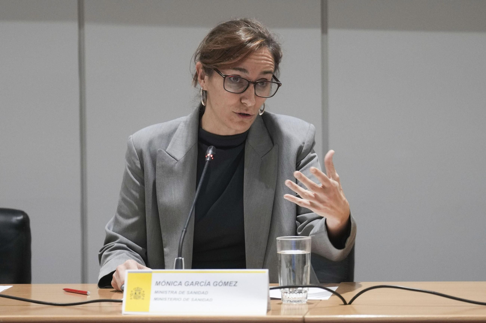 La ministra de Sanidad, Mónica García. La ministra de Sanidad, Mónica García.
