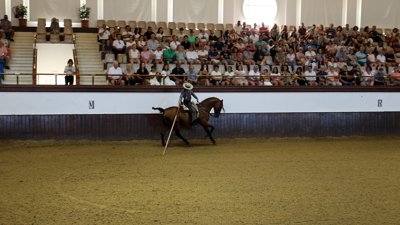 Espectáculo de la Real Escuela Andaluza de Arte Ecuestre dedicada al 40 aniversario de Diario de Jerez