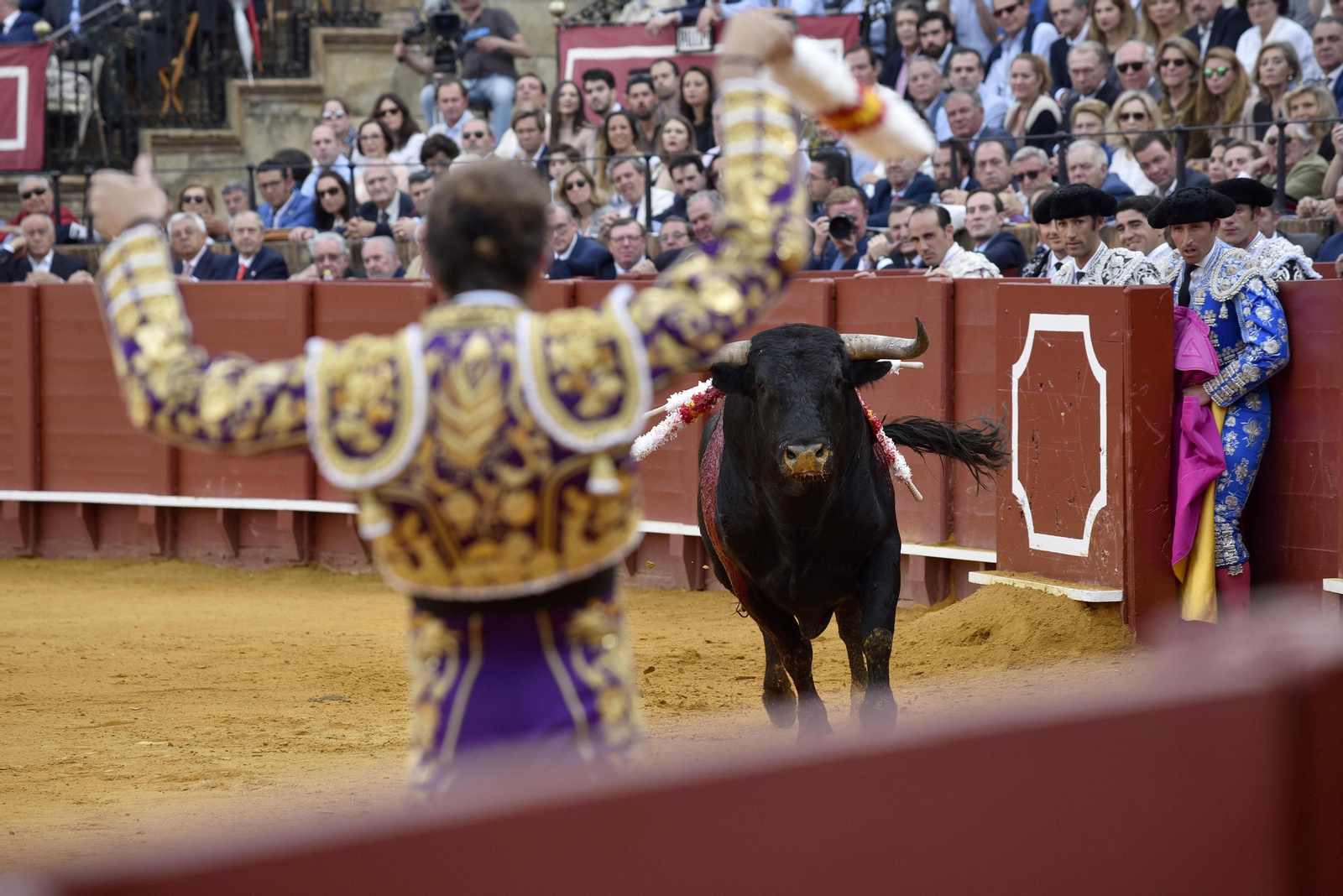 Las imágenes de la 14ª de abono de la Maestranza