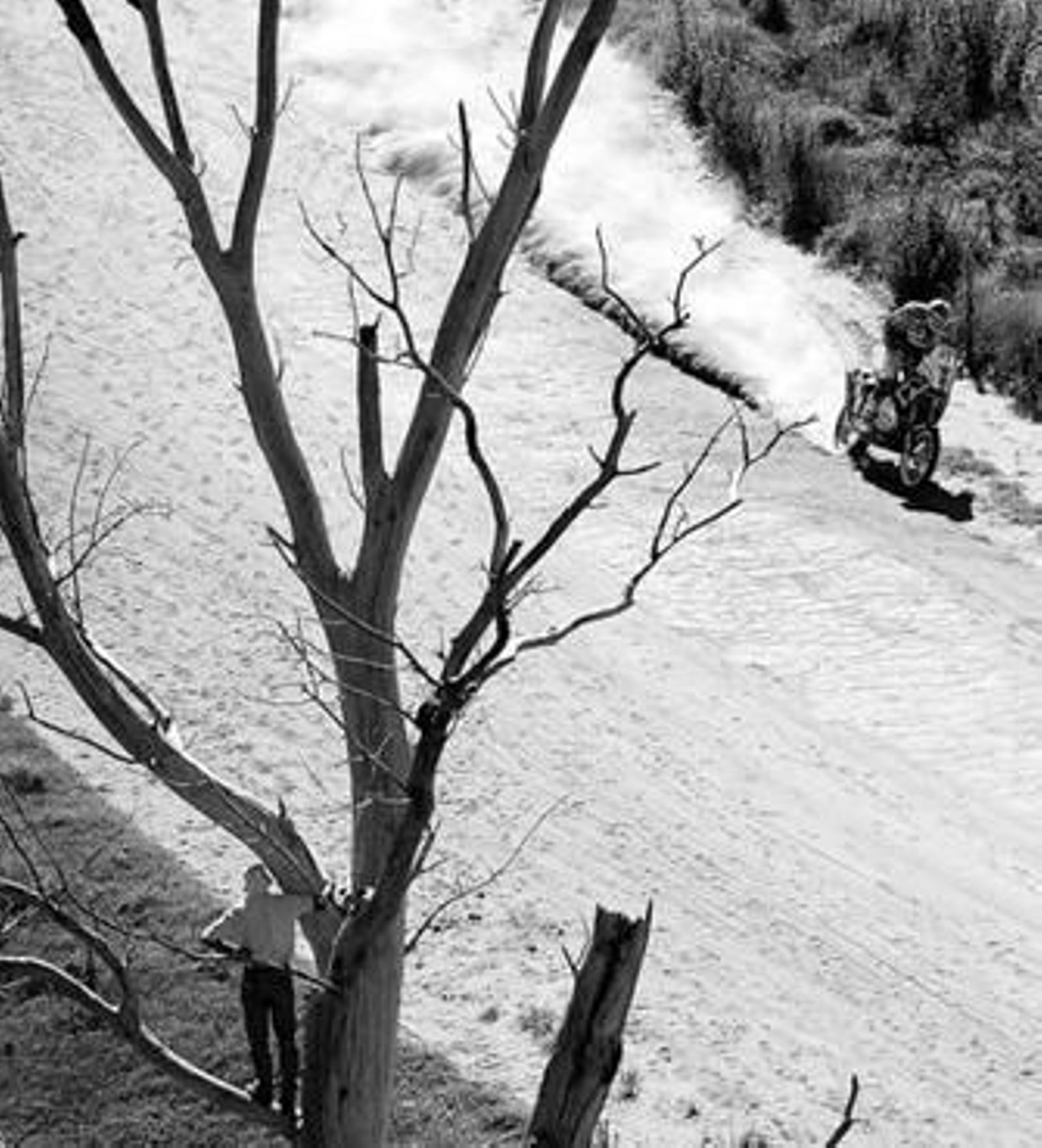 Un espectador observa, subido a un árbol, el paso de un invencible Marc Coma.