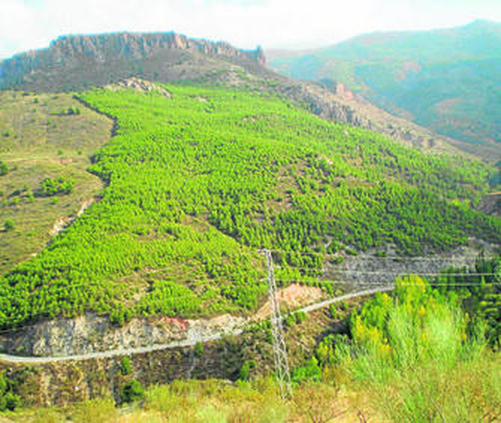 Testigos han visto las luces y la mujer y la niña en la curva del Paraje de Los Morales.