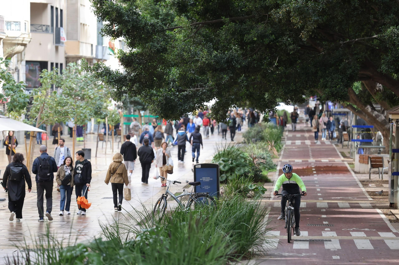 Ciclista en el carril bici de la Alameda principal
