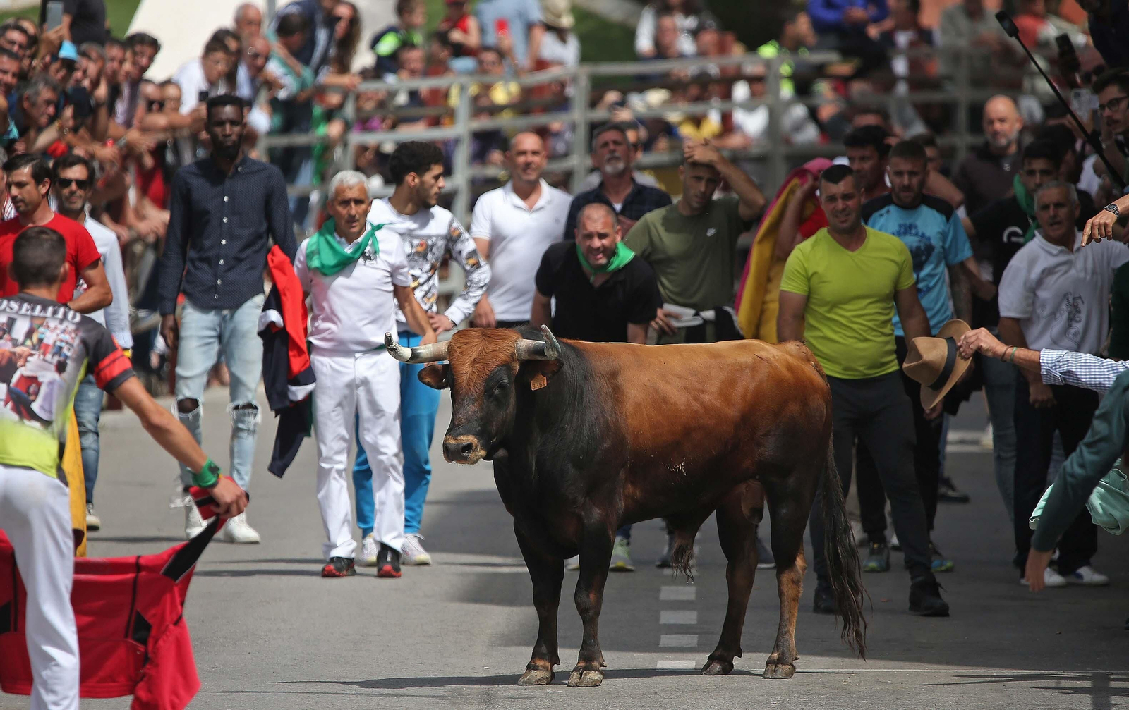 Fotos del Toro Embolao en Los Barrios