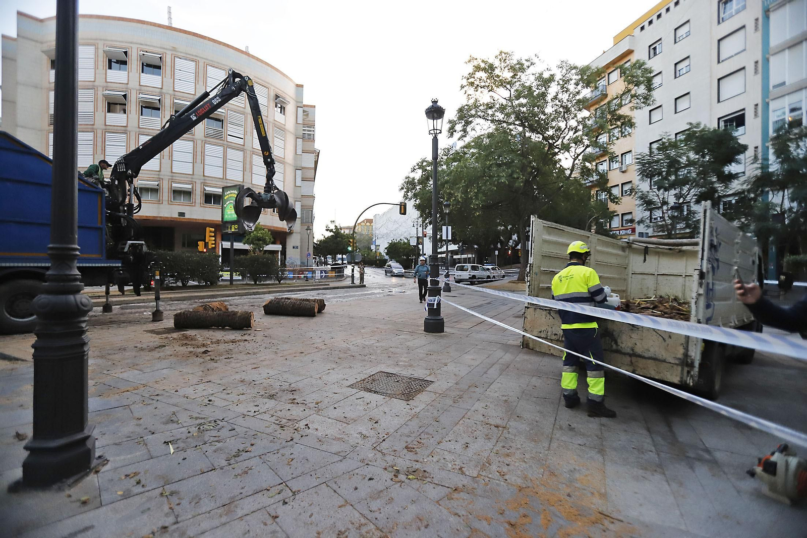 Imágenes de la tala de la emblemática Palmera de Huelva